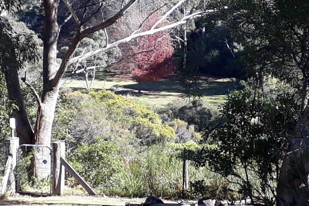 Katoomba Falls Cottage Dış mekan fotoğraf
